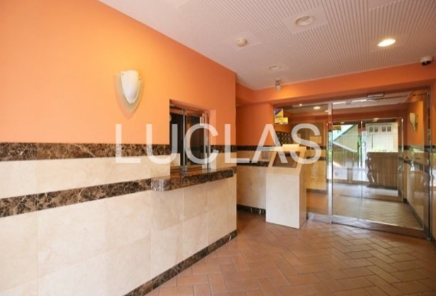 サンテミリオン飯田橋　 その他5