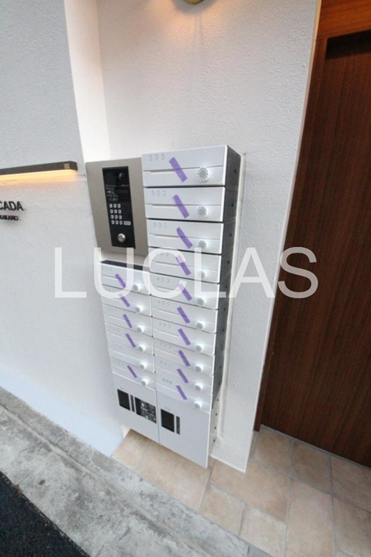 シカダナカノ その他4