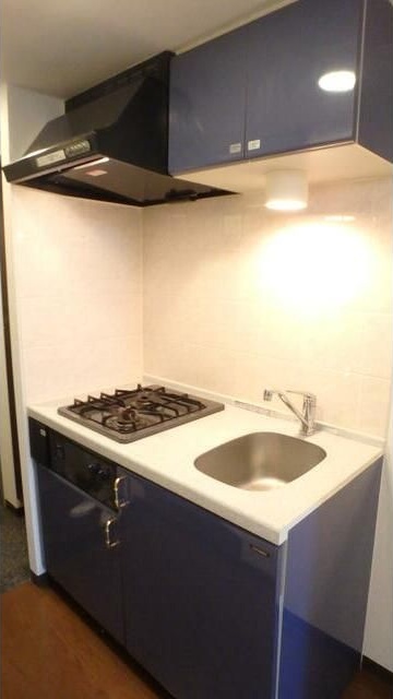 ロアール高円寺 キッチン