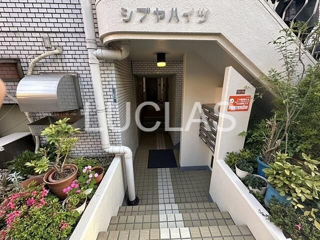 シブヤハイツ その他外観1