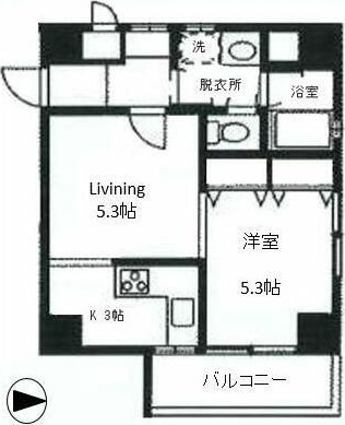 ヒルトップ・マンション 1001号室 間取り
