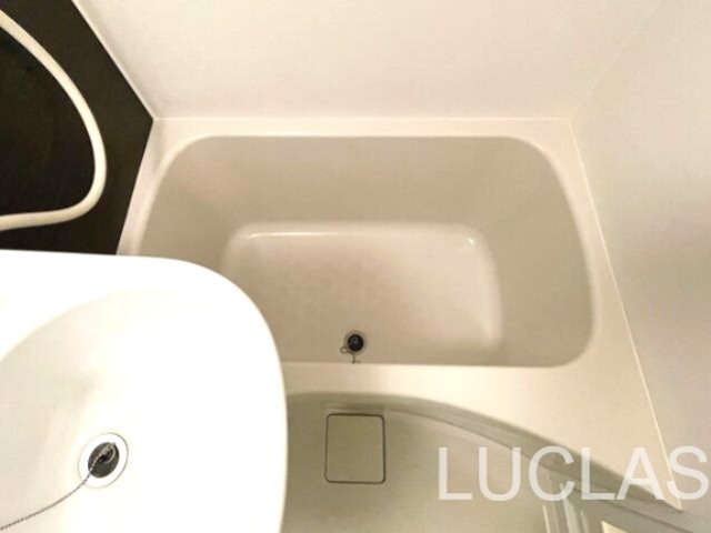 ＳＴＡＹＧＯＬＤ　ＥＧＯＴＡ その他2