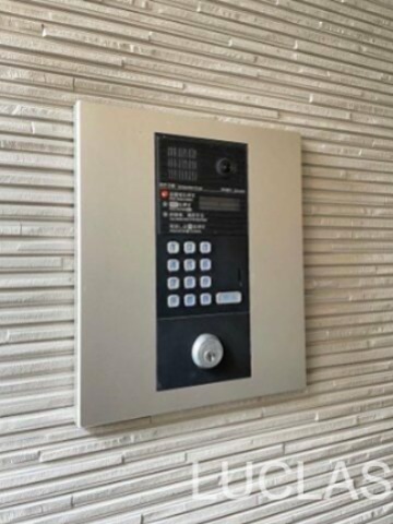 ＳＴＡＹＧＯＬＤ　ＥＧＯＴＡ その他11