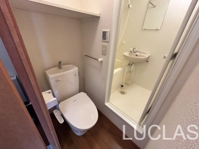 Ｃｏｎｄｏｌｅｅｚａ その他1