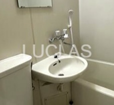 シンビジュームハウス その他1