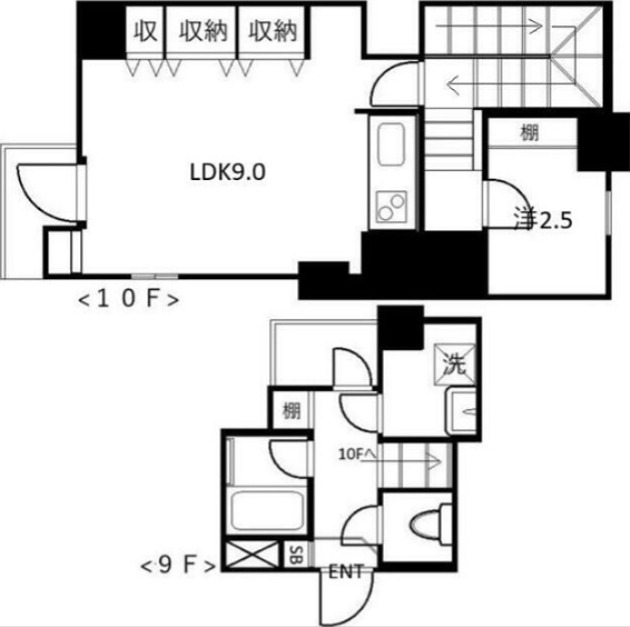 パレステュディオ三番町Ⅱ 902号室 間取り