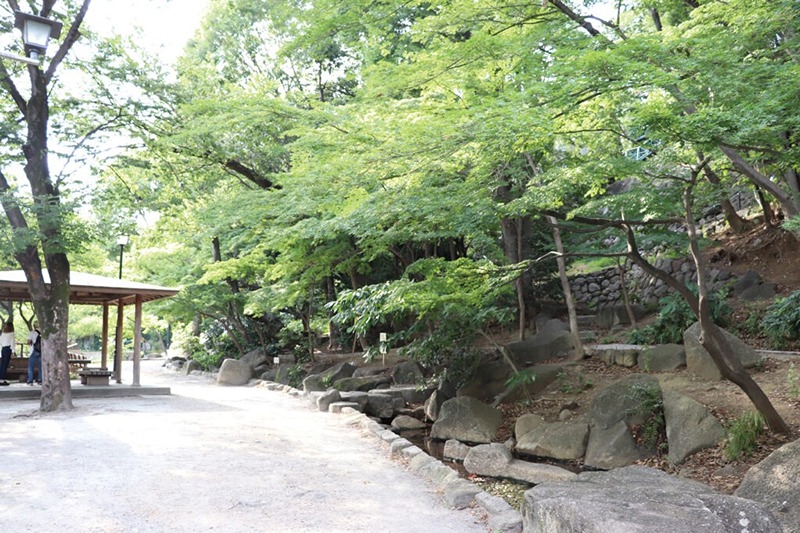 ラグジュアリーアパートメントデュオ神楽坂 周辺画像10