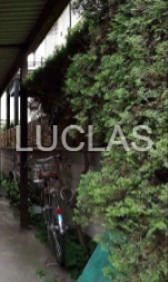 アドウィスタリア その他6