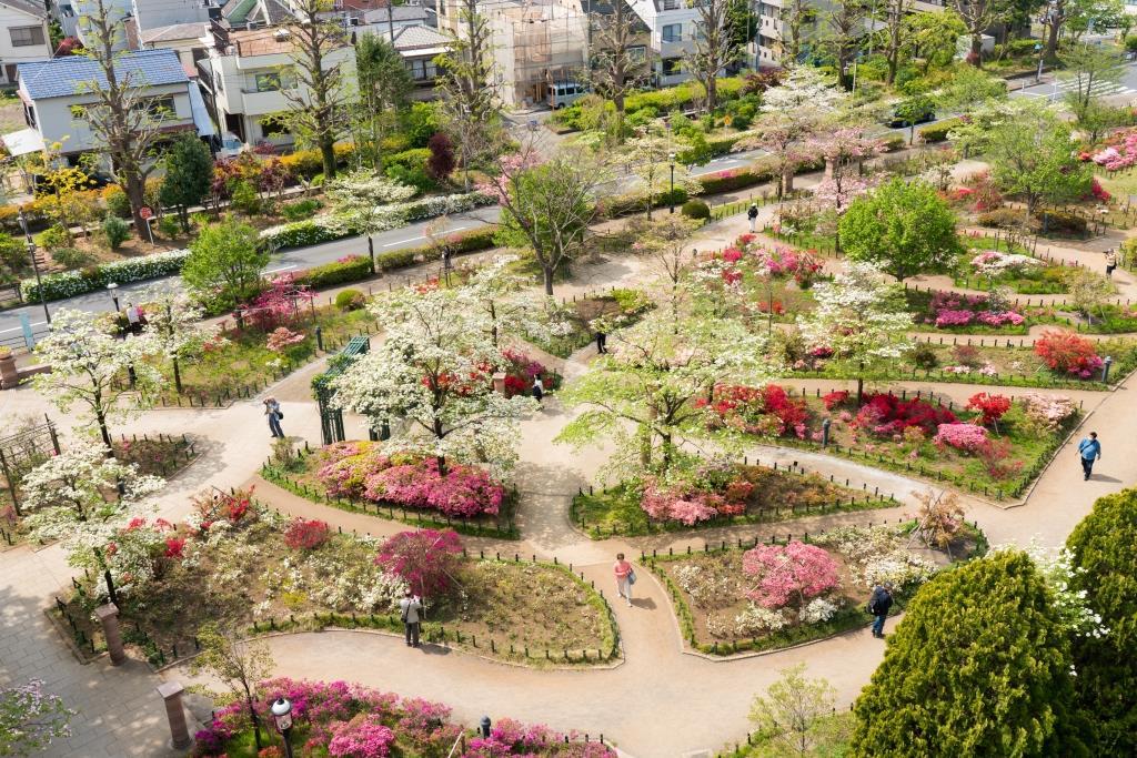 フローラル豊島園 周辺画像10