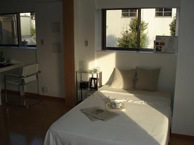 グランハイツ東新宿 その他8