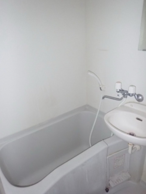 テルマールタカセ（練馬春日町） 風呂画像