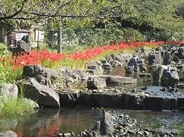 Ｋａ　Ｐｉｌｉｎａ 周辺画像9