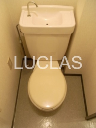 ノーベルコート その他2