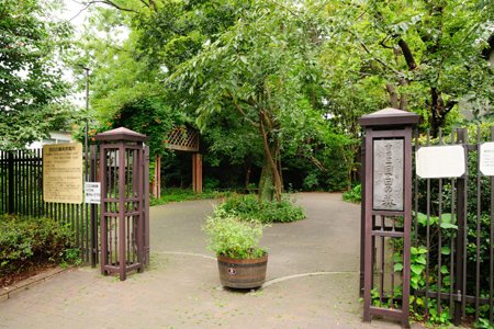 ジェノヴィア新宿中落合スカイガーデン 周辺画像10