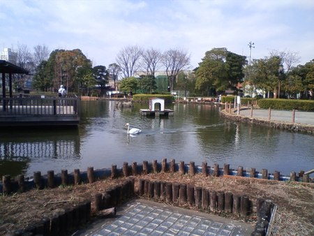 フェリス町屋 周辺画像7