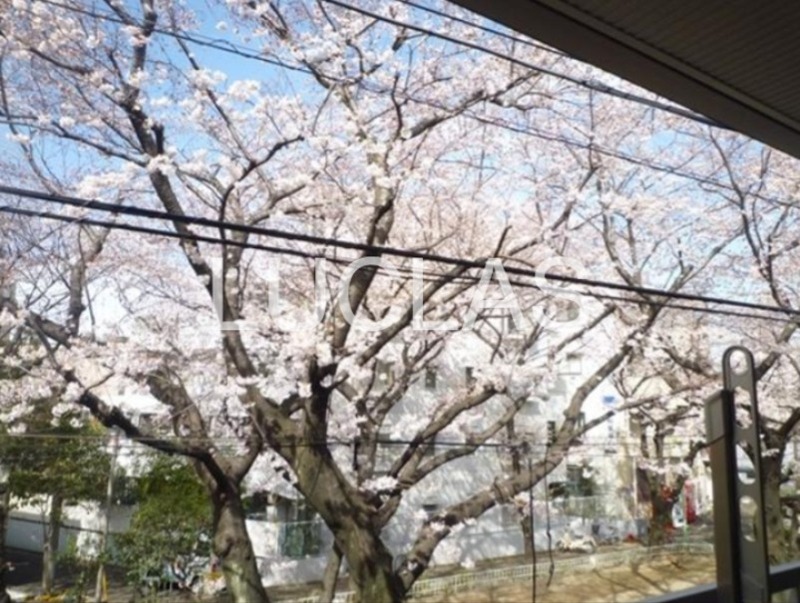 ブラウニ世田谷 その他7