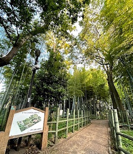 エコロジー都立大学レジデンス 周辺画像10