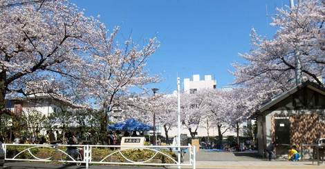 アルテシモ　オアゾ 周辺画像10