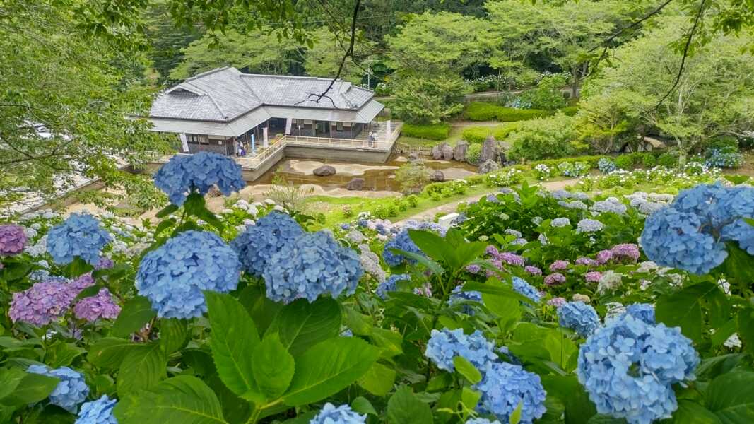 トップ三軒茶屋第４ 周辺画像10