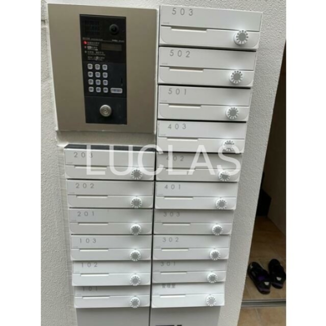 シカダナカノ その他7