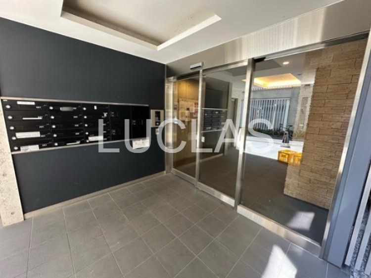 Ｎｅｗ　Ｒｉｖｅｒ　Ｓｈｉｎｊｕｋｕ その他10