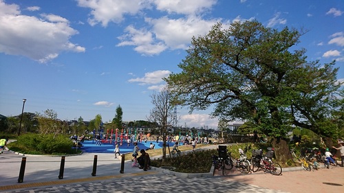 日神パレス桜上水 周辺画像9