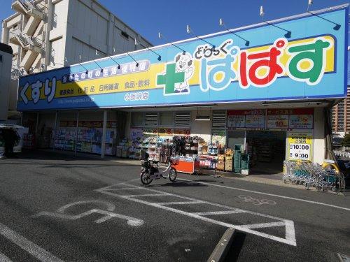 ベルシード志村坂上 周辺画像6