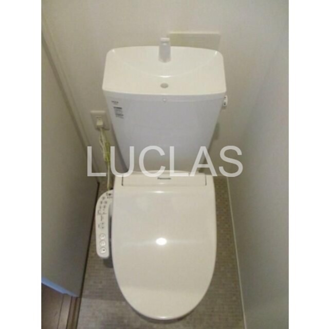 ワイズセピアⅡ その他2