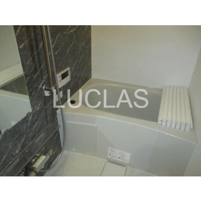 ワイズセピアⅡ 風呂画像