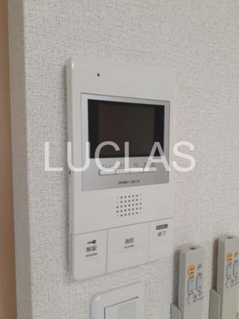 プリマヴェリーナ その他5