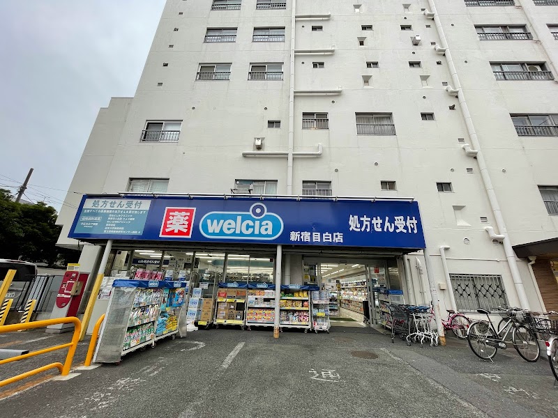 サンセリテ目白 周辺画像6