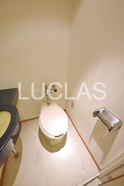 日神パレステージ代田橋 その他4