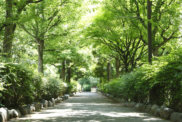 セイワ東陽マンション 周辺画像10