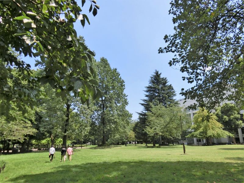 日神デュオステージ新宿若松町 周辺画像10