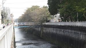 ロイヤルコート氷川台 周辺画像10