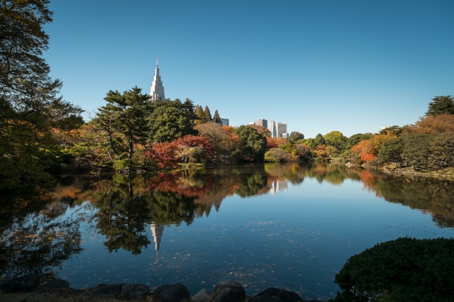 アルカンシエル新宿大京町 周辺画像10
