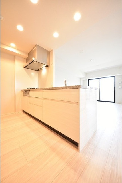 343レジデンス市ヶ谷（オープンレジデンシア） その他10