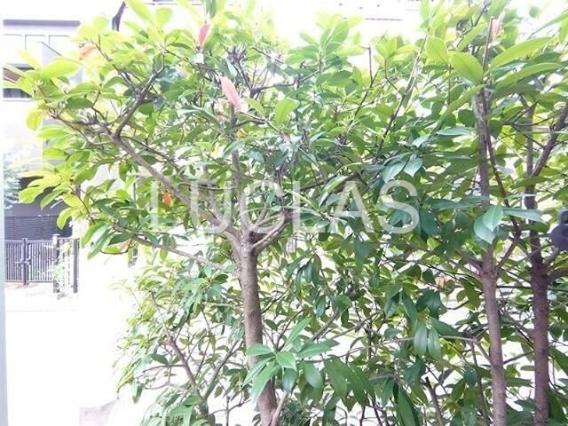 ＢＥＡＵ　ＲＩＶＡＧＥ　ＮＥＺＵ その他5