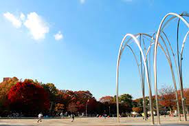 メゾン成増Ⅱ１０３号室 周辺画像10