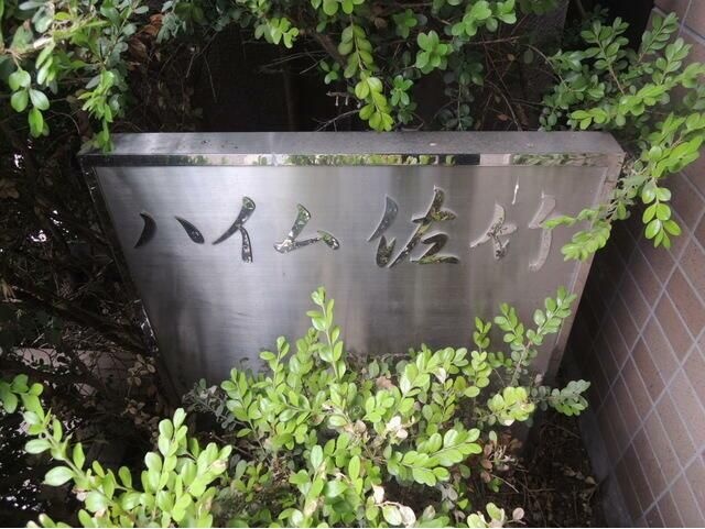 ハイム佐竹 その他8