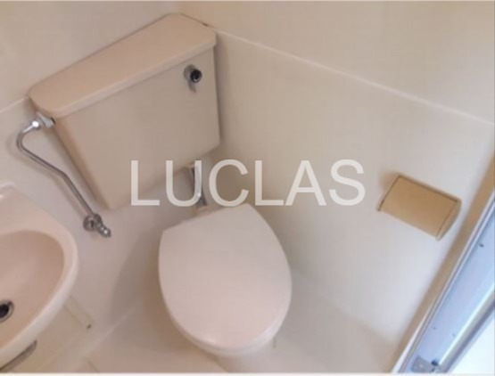 イエローエンバシー その他1