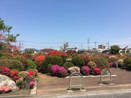 池亀マンション 周辺画像10