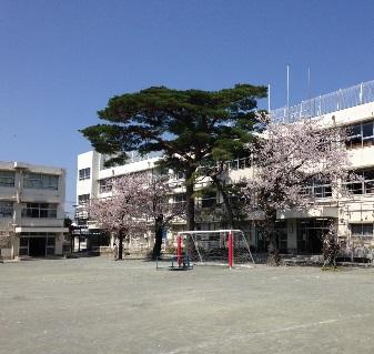 ヒラソル上野毛 周辺画像7