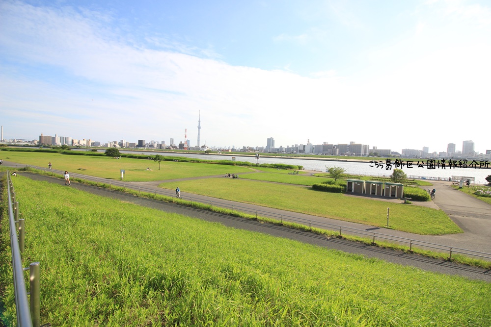 プラチナフォルム堀切菖蒲園 周辺画像9