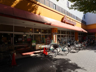 プラチナフォルム堀切菖蒲園 周辺画像1