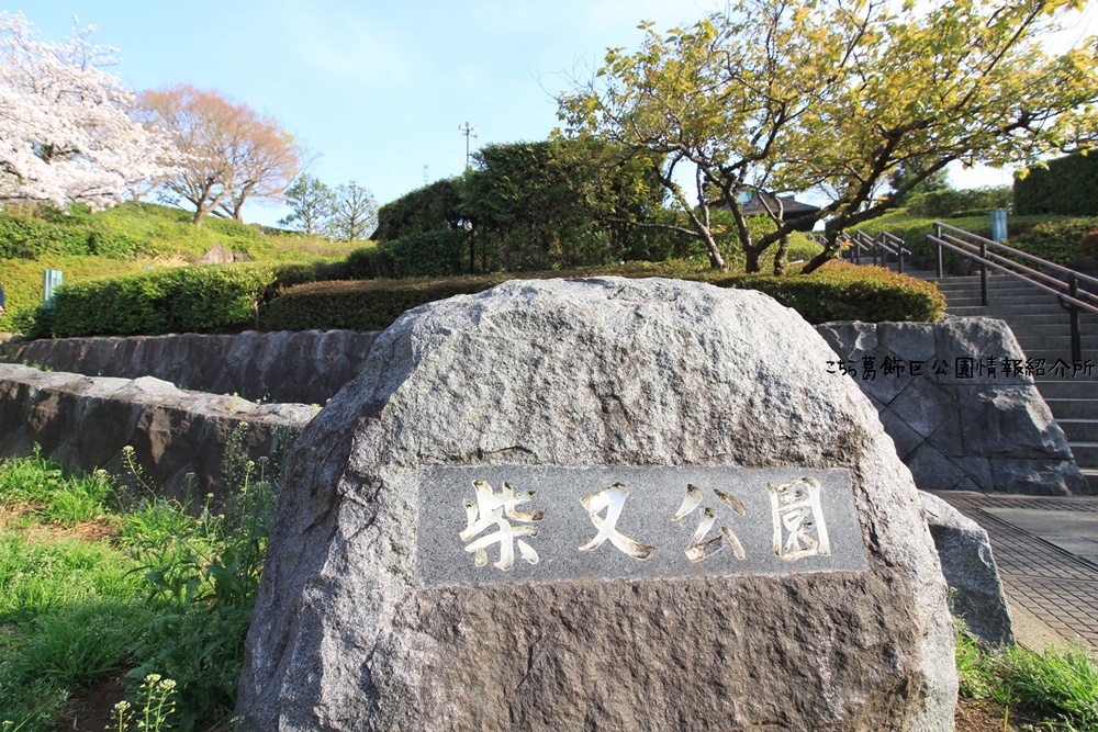 柴又３丁目貸家 周辺画像9