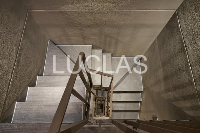 ｔｈｅ　ｔｒｉａｓ　ｎｉｓｈｉｎｉｐｐｏｒｉ その他6