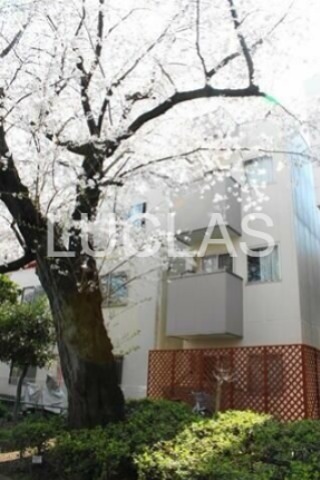 ｂｒａｎｃｈｅ その他5