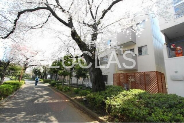 ｂｒａｎｃｈｅ その他9