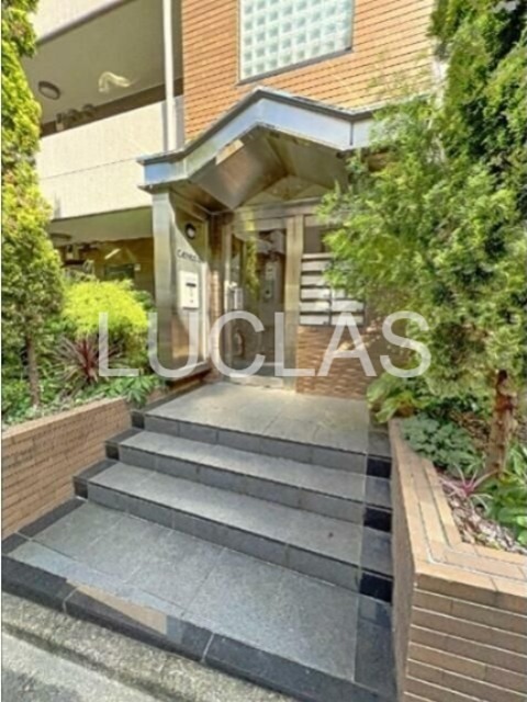 ジェネシス その他3